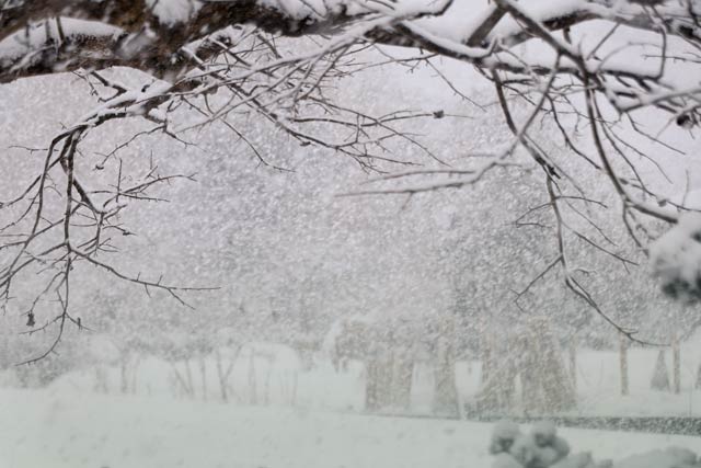 8日午後に三条市上須頃に降る激しい雪