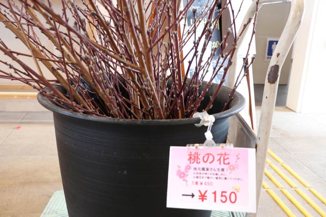 通常の3分の1の1本150円で販売する大雪で折れたモモの枝