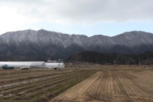 朝方の雪で弥彦山は半分、白い。