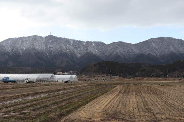 弥彦村弥彦から上半分が白くなった弥彦山