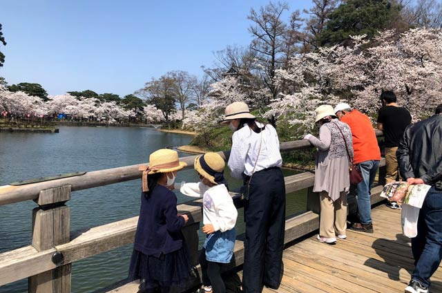 2日昼の高田城址公園観桜会