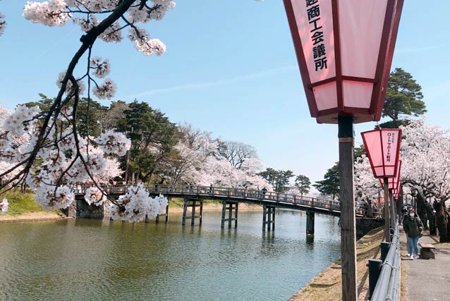 第96回高田城址公園観桜会