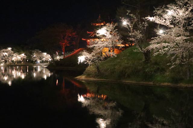 第96回高田城址公園観桜会