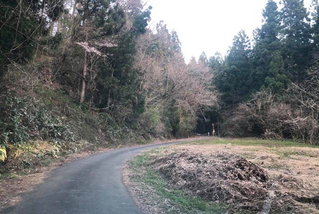 佐野さんが行方不明になった三条市麻布谷の林道