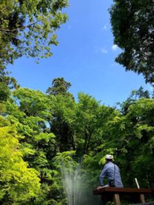 最高気温27.0度の夏の暑さ