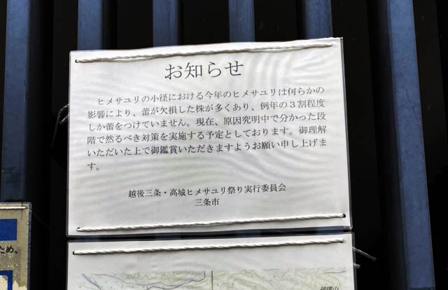 ヒメサユリの小径の登り口に掲示した花が少ないことを伝えるお知らせ