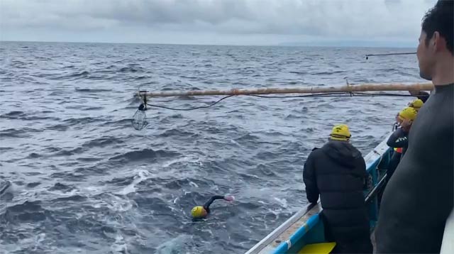 岡山酔魚による越佐海峡リレー横断泳の午前9時ごろのようす