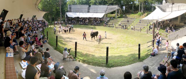 山古志闘牛場で開催