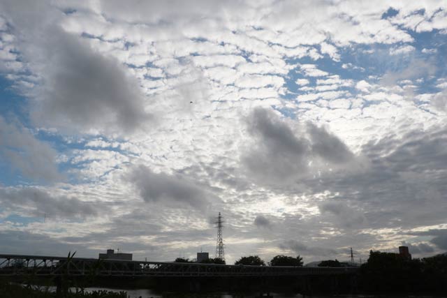 激しい風雨に見舞われる燕三条駅付近