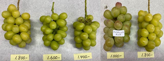 販売しているブドウ