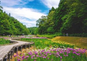 グランプリに輝いた加茂市・坂上久夫さんの「新緑と花菖蒲」