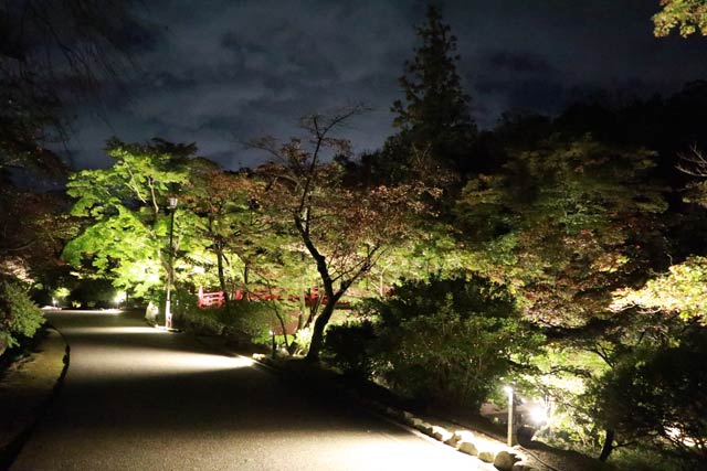 一変したもみじ谷の風景