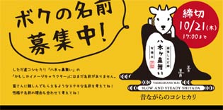 八木ヶ鼻舞いキャラネーム募集 - ザ・米フェス2021 in しただ