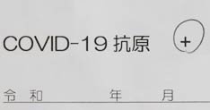 抗原検査でCOVID-19陽性の判定結果