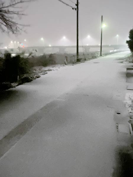 うっすらと雪が積もってたちまち銀世界に