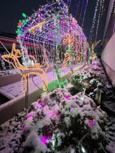 雪化粧の中で輝く県央研究所のイルミネーションはホワイトクリスマスのイメージに