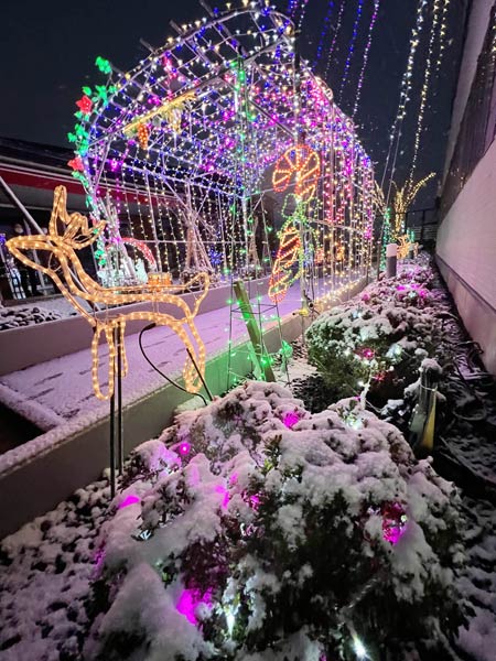 雪化粧の中で輝く県央研究所のイルミネーションはホワイトクリスマスのイメージに