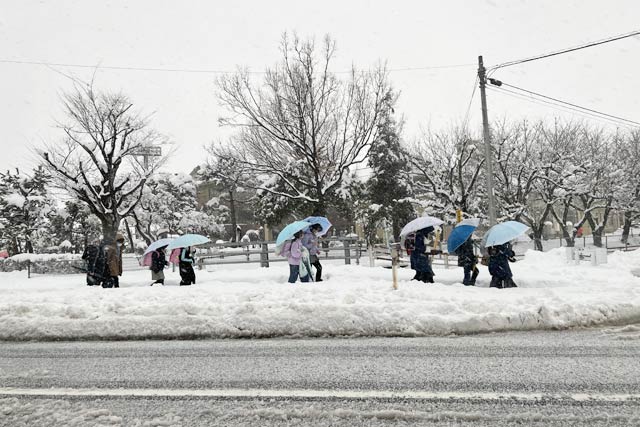 燕市で雪の中を下校