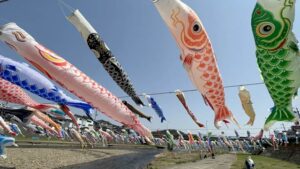 春風をはらみ加茂川の空を泳ぐこいのぼり 初めてのライトアップも