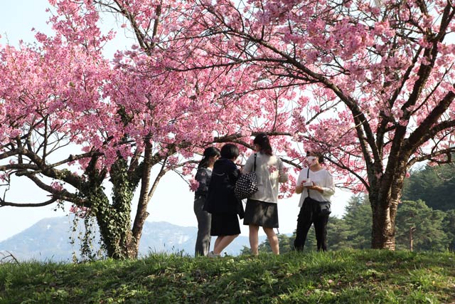 村松公園