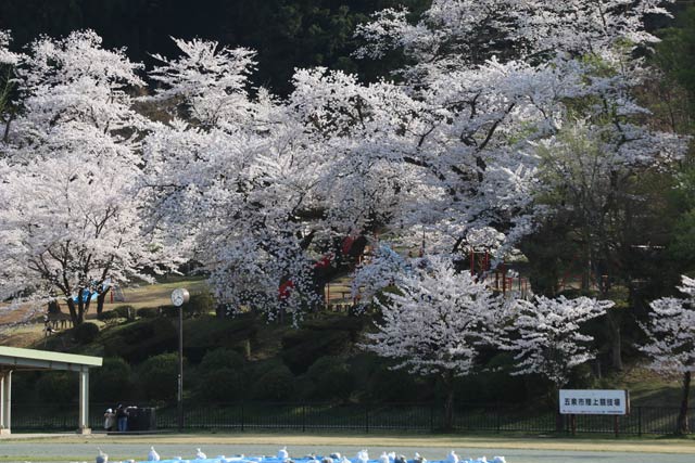 村松公園