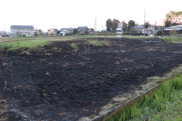 焼死体が見つかったの野焼き場所