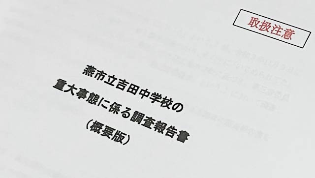 配布された調査報告書の概要版