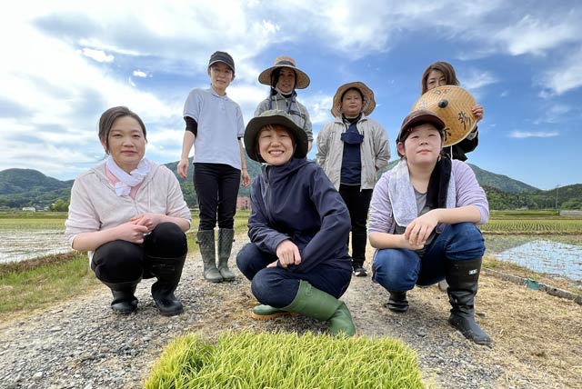 弥彦温泉のキャラクターをデザインした酒造りに向けて手植えの田植えに挑んだ弥彦おかみ会