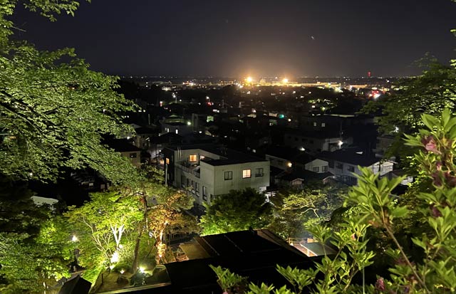 楽山苑からの夜景