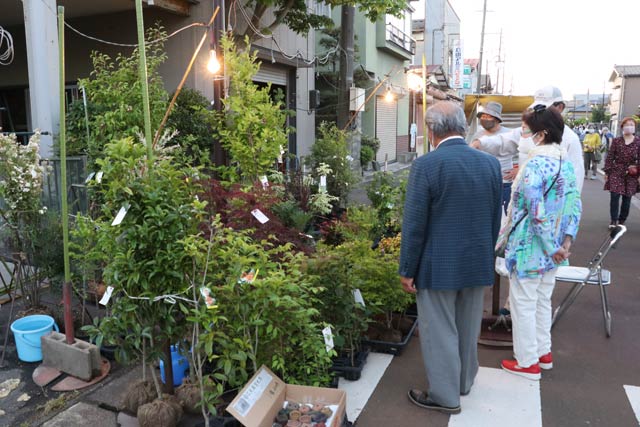 1店だけになってしまった植木店