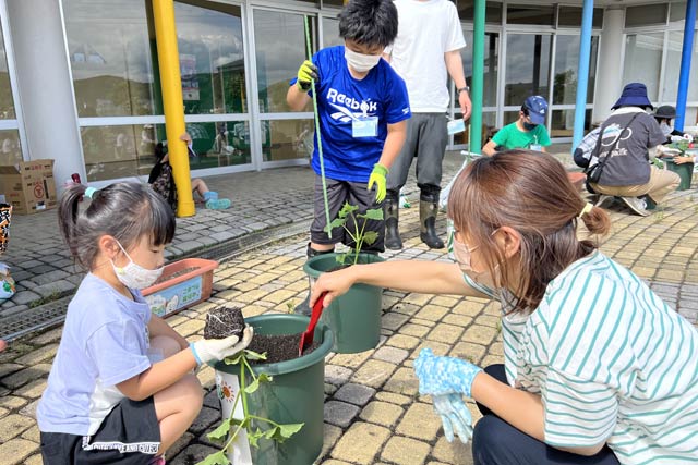 「なんかん育ちの元気スクール」第1回でコマツナの苗植え