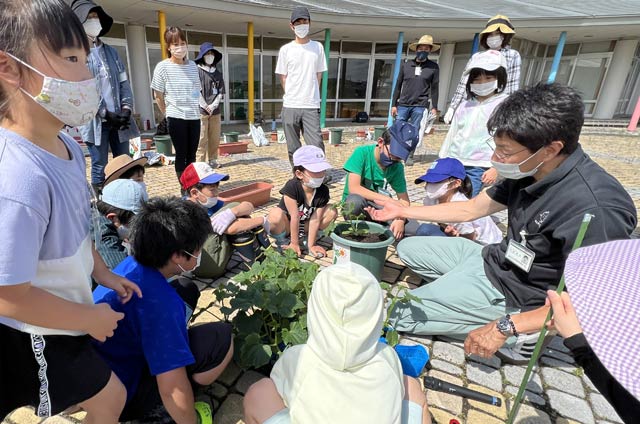 職員が苗の植え方を指導
