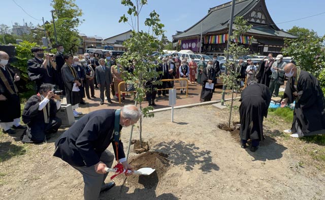 境内の南東角にハナミズキを植樹