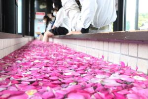 弥彦温泉に週末限定「薔薇の足湯」