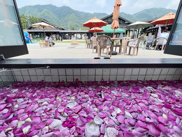 足湯につかりバラの香りに包まれなら眺める弥彦山