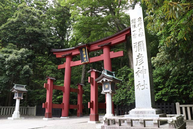 弥彦神社の一の鳥居