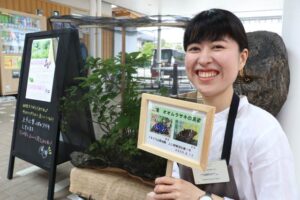 国蝶オオムラサキのサナギを探せ！