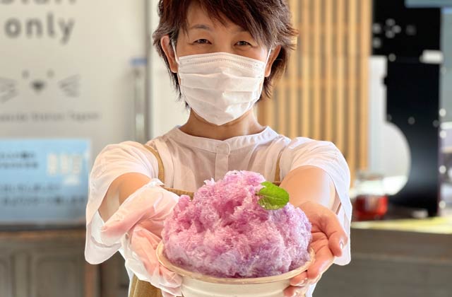 道の駅たがみの「あじさい」かき氷