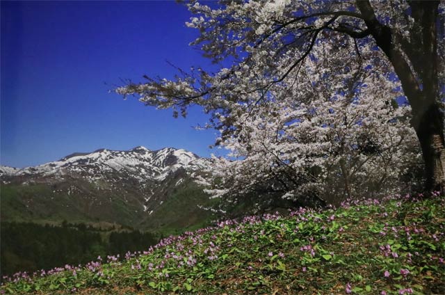 「山里の春」三条市北五百川