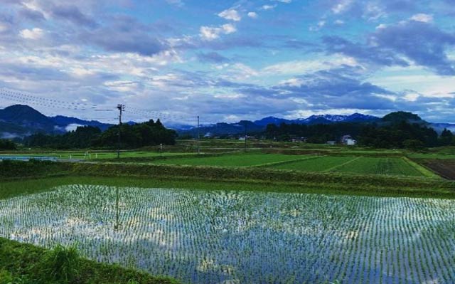 下田地域の田園風景