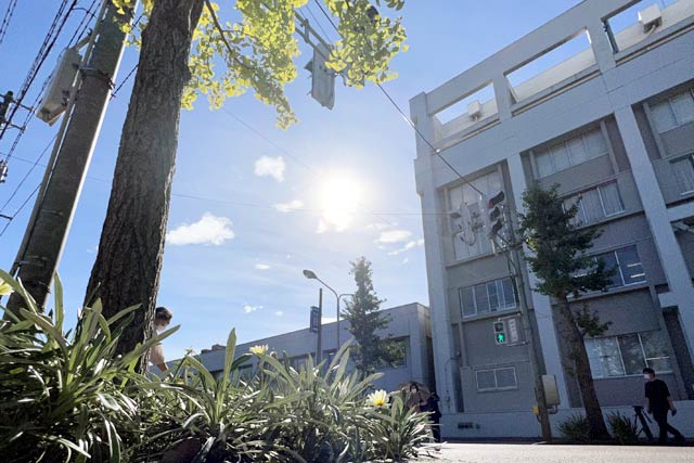 6日の三条市役所前に照りつける日差し
