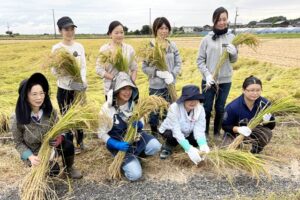 弥彦温泉のキャラクター酒の発売を目指しておかみが稲刈り