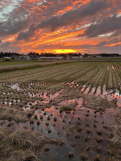 11日の夕焼け空