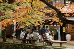 紅葉が見ごろの池之端はまるで観光地