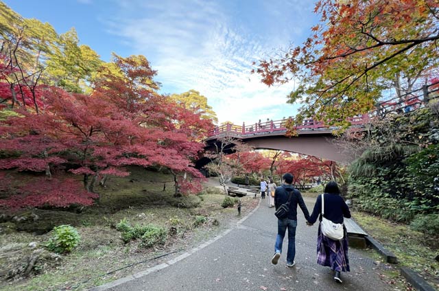 弥彦公園もみじ谷の紅葉