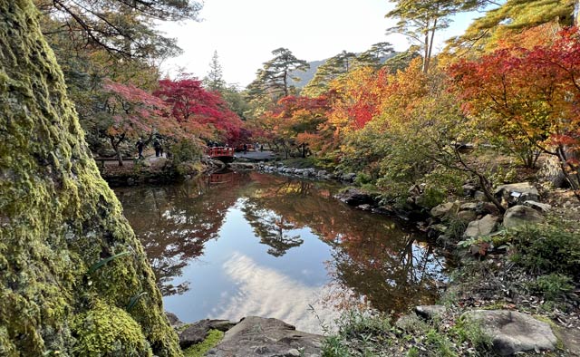 弥彦公園もみじ谷の紅葉