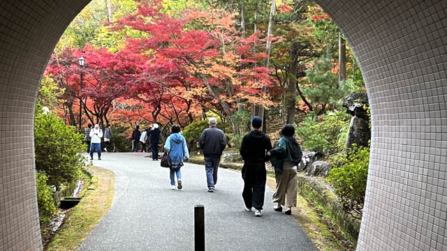 トンネルの向こうに紅葉 