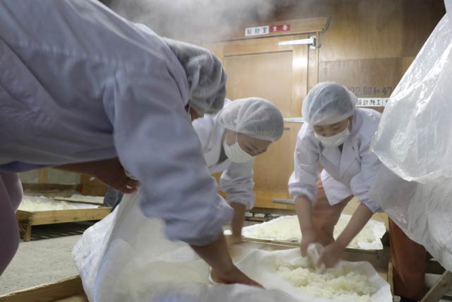 蒸し米の粗熱を取る