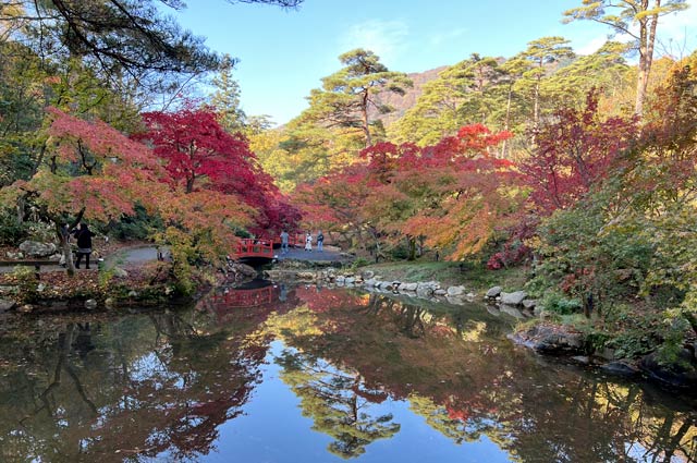 弥彦公園もみじ谷の紅葉
