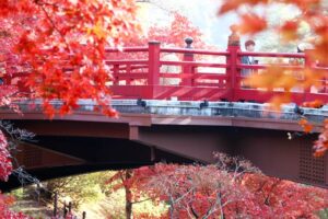 弥彦公園もみじ谷の紅葉